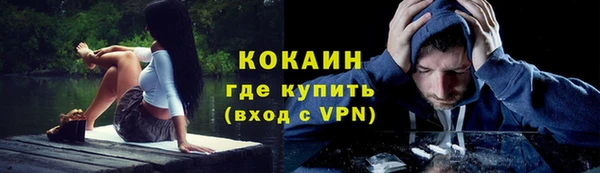 прущие крисы Белокуриха